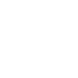 Icône décorative en forme de diamant – ScopeMédia